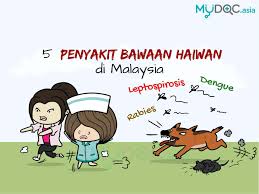 Langkah awal yang tepat adalah dengan melakukan tindakan pencegahan karena mencegah lebih baik daripada artinya tanaman ini memiliki ketahanan secara genetik terhadap serangan virus gemini sehingga tanaman tidak mudah terjangkit penyakit bulai. Info Grafik Bagaimana Mencegah 5 Penyakit Bawaan Haiwan Yang Biasa Di Malaysia Erufu Care