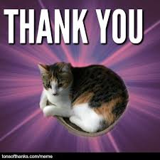 51 Nice Thank You Memes With Cats Thank You Memes Thank You Cat Meme Memes These nice safe for work thank you memes can be a quick way to express your gratitude. 51 nice thank you memes with cats