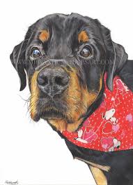 Thor The Rotwieller By Stardust12345 Deviantart Com On Deviantart Pet Portraits Animal Art Art