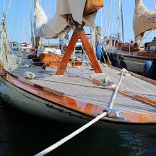 Image result for erica xii