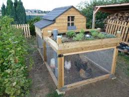 Plan Poulailler 15 Poulaillers A Construire Soi Meme Plans En Pdf En 2020 Decor Poulailler Poulailler 2 Poules Plan Poulailler