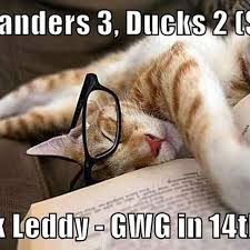 The best memes from instagram, facebook, vine, and twitter about ny islanders. Gallery New York Islanders 2016 17 Season Recapped By Cats Lighthouse Hockey