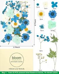 Maybe you would like to learn more about one of these? Buy Ifancer 105 Pcs Dried Flowers For Resin Small Real Pressed Dry Flowers For Resin Jewelry Assorted Tiny Mini Dried Flowers For Art Crafts Diy Online In Senegal B08nvnnv4q