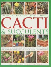 Here are the materials needed & the steps to take to making an indoor cactus garden. The Practical Illustrated Guide To Growing Cacti Succulents The Definitive Gardening Reference On Identification Care And Cultivation With A Directory Of 400 Varieties And 700 Photographs Anderson Miles Hewitt Terry 9781843093558