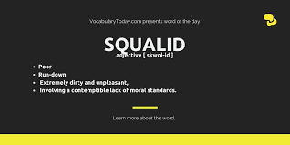 Contempt, not classified among paul ekman's six basic emotions of anger, disgust, fear, happiness, sadness, and. Squalid Meaning Usage Quotes And Social Examples