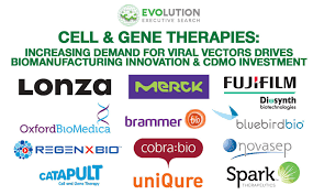 Evolution Executive Search Cell Gene Therapy Increasing
