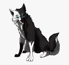 Vote up your favorite anime with werewolves, and add any good werewolf. Dog Breed Black Wolf Pack Wolfdog Arctic Wolf White Wolf With Black Paws Hd Png Download Transparent Png Image Pngitem