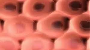 هل يمكن تكبير القضيب ، وما هي طرق تكبير العضو الذكري، خلال المقال التالي سنتعرف علي معلومات جديدة ومميزة عن الطرق الصحية لتكبير القضيب بالصور وبالتفصيل. Ø·Ø±ÙŠÙ‚Ø© Ø¹Ù…Ù„ Ø¬Ù‡Ø§Ø² ØªÙƒØ¨ÙŠØ± Ø§Ù„Ø¹Ø¶Ùˆ Youtube