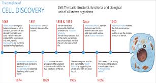 Psychology definition of cell theory: Discovery Of Cell Timeline And Cell Theory Lesson Science Cbse Class 9