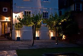 Outdoor Uplighting On Trees And Topiary Modern Landscaping Modern Landscape Lighting Outdoor Garden Lighting