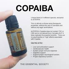 Pin On Copaiba Essential Oil
