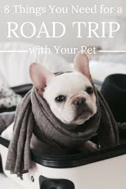8 Things You Need For A Road Trip With Your Pet Road Trip Trip Pets