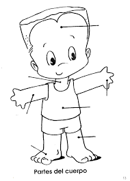 Pin De Martin Becher En Cuerpo Humano Partes Del Cuerpo Preescolar El Cuerpo Humano Infantil Partes Del Cuerpo Humano