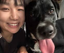 Laidley Housemates & Roommates