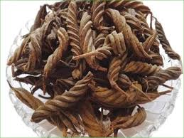 Image result for Helicteres isora