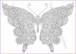 You can search several different ways, depending on what information you have available to enter in the site's search bar. Butterfly Coloring Page 10 Doodle Flowers For Adults Etsy Butterfly Coloring Page Flower Doodles Coloring Pages
