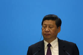 Image result for å‚»å‘å‘çš„ä1 ¿‘å13ç…ç‰‡