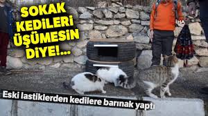 Sokaktaki Kediler Usumesin Diye Lastiklerden Kedi Evi Yapti Youtube