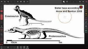 Image result for Proterosuchus