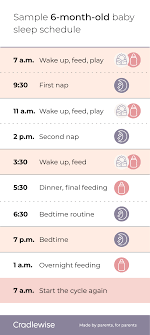6 month old baby sleep schedule: A guide