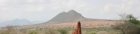 According to the national pest management association, termites cost americans more than $5 billion in damages each year. James Austin Sr Global Product Development Manager Public Health Termite Control Basf Linkedin