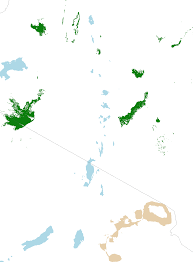 Image result for Tricalysia bagshawei