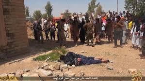 Image result for gay men thrown off roofs in Middle East