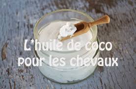 Les Bienfaits De L 39 Huile De Coco Pour Les Chevaux Bienfaits Chevaux Coco L39huile Cheval Soins Des Chevaux Huile De Coco
