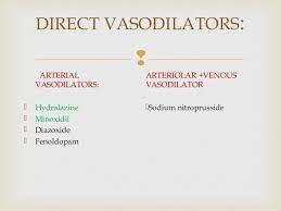 Vasodilators Buscar Con Google Medical Advice Common Medications Nurse