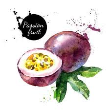 Main A Attire Aquarelle Sur Fond Blanc Illustration Vectorielle De Fruit De La Passion Fruits Drawing Fruit Sketch Fruit Illustration