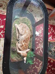 Are you searching for the ultimate coffee table for your living room? Is This Deer Coffee Table For Sale In Utica Real