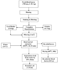 Process And Material Flow Chart For Extraction Of Essential