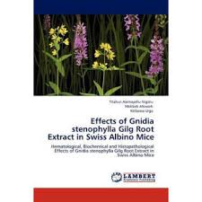 Image result for Gnidia stenophylla
