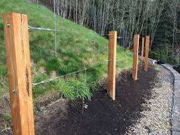 Grape trellises can be quite simple depending on the design you go for. Trellis For My Grape Vine Simple Diy Under 10 Garden Induced Info