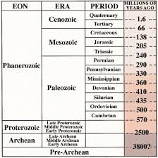 Fossil Record Definition And Examples Biology Dictionary