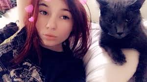 Found cat near Mishawaka High School