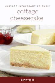 Lactose Intolerant Friendly Cottage Cheesecake Recipe Cottage Cheese Desserts Cottage Cheese Dessert Recipes Cheesecake Recipe With Cottage Cheese