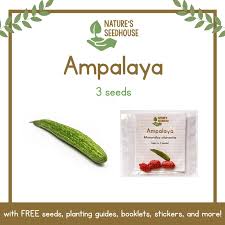 Maybe you would like to learn more about one of these? Ampalaya Seeds Bitter Gourd Seeds Bitter Melon Seeds Vegetable Seeds Plant Seeds Shopee Philippines