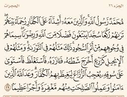 عبدالناصر Twitterren الآية التي جمعت كل حروف اللغة العربية سورة الفتح آية 29