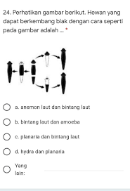 Anemon adalah hewan yang berkembang biak dengan cara. Perhatikan Gambar Berikut Hewan Yang Dapat Berkembang Biak Dengan Cara Seperti Pada Gambar Adalah Brainly Co Id