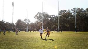 Three ins for tigers clash. Home Afl Victoria