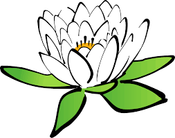 We did not find results for: Lotus Flower Water Lily White Gambar Bunga Teratai Animasi Clipart Full Size Clipart 248400 Pinclipart