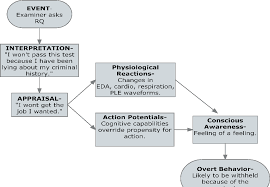 You would pass the test and even get to keep a few secrets to yourself! Pdf An Exploration Of Emotion And Cognition During Polygraph Testing Semantic Scholar