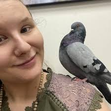 WINTER PARK VETERINARY HOSPITAL