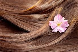 Les Meilleures Huiles Vegetales Pour La Beaute Des Cheveux