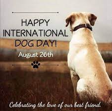 The date august 26, 2004 holds special significance for the founder of international. Happy International Dog Day Today We Join The World In Celebrating Man S Best Friend Happy National Dog Day International Dog Day Dog Walking Quotes
