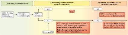 Having pain or a burning feeling when you urinate. Progress In Therapy Across The Spectrum Of Advanced Prostate Cancer Nature Reviews Urology