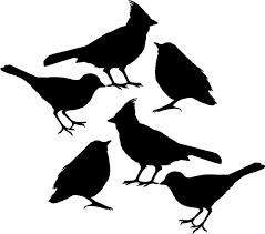 Vogel Silhouette Fenster Glas Vogelsicher Vorlage Ausdrucken Vogel Silhouette Vinyl Aufkleber Aufkleber