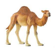 Das dromedar ist ein nahezu halbiertes kamel; Schleich 14832 Dromedar Schleich Mytoys
