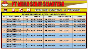 Marketing Plan The Plan Marketing Jenis
